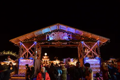 DSC_5563 (Large).JPG